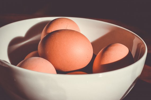 Właściwości skorupki jaj